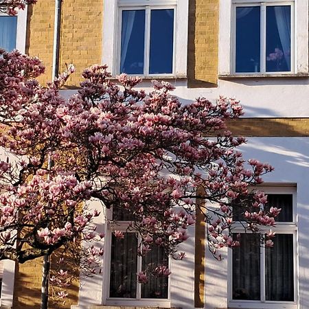 Ferienwohnung Rosi Naumburg  Bagian luar foto