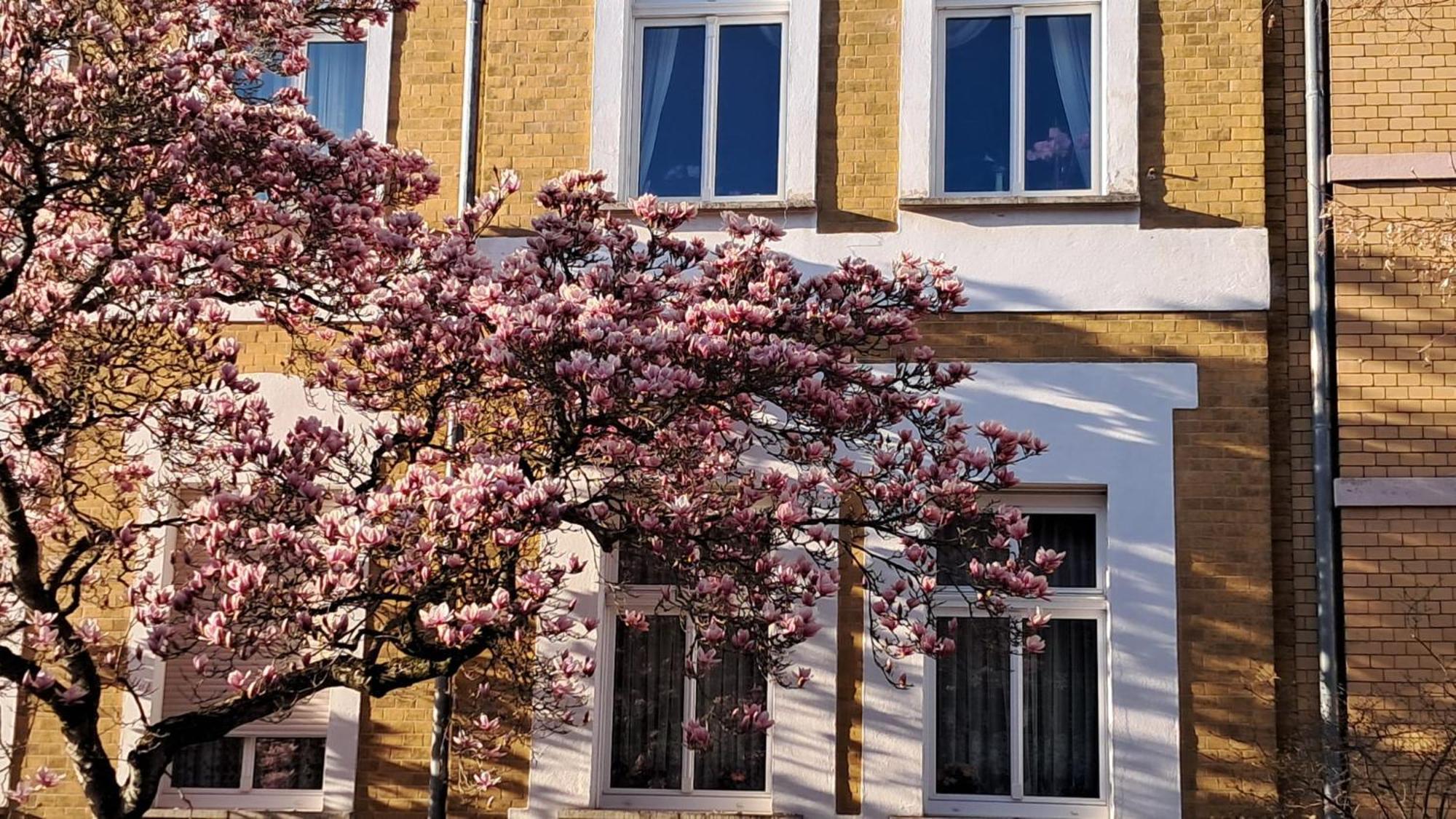 Ferienwohnung Rosi Naumburg  Bagian luar foto